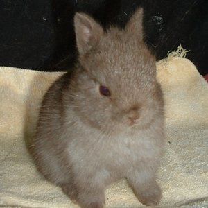 Meet your Posher, Victoria